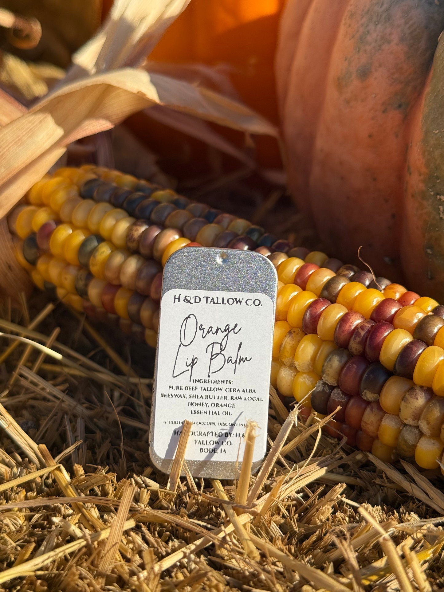 Orange Beef Tallow Lip Balm